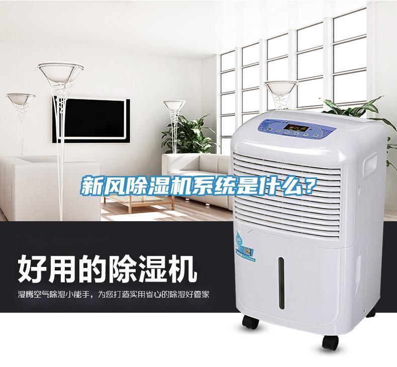新風(fēng)除濕機系統(tǒng)是什么？