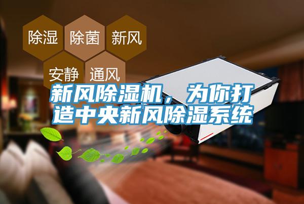 新風(fēng)除濕機，為你打造中央新風(fēng)除濕系統(tǒng)