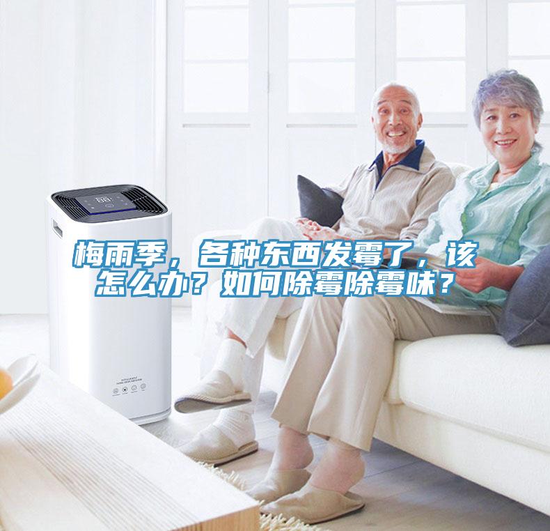 梅雨季，各種東西發(fā)霉了，該怎么辦？如何除霉除霉味？