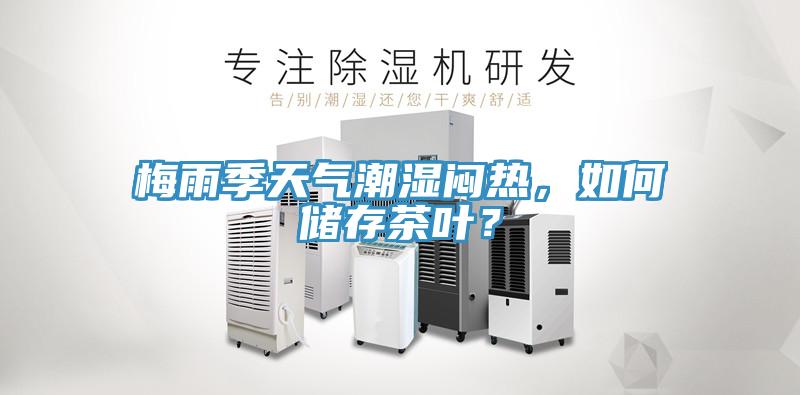 梅雨季天氣潮濕悶熱，如何儲存茶葉？