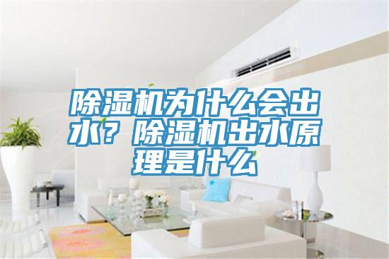 除濕機為什么會出水？除濕機出水原理是什么