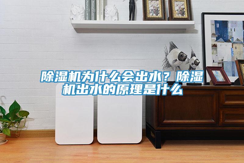 除濕機為什么會出水？除濕機出水的原理是什么