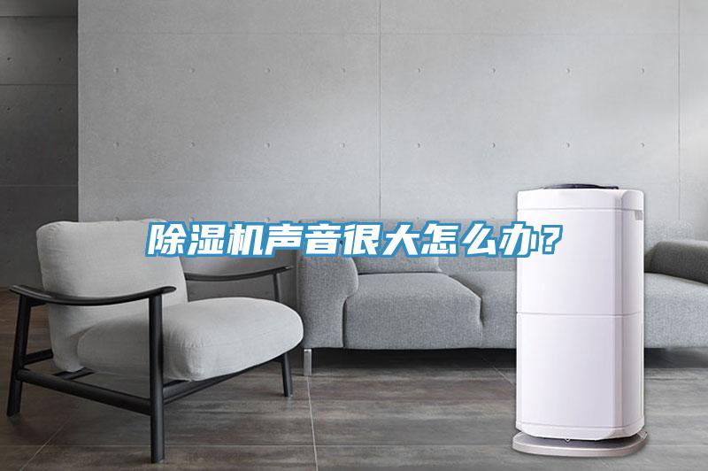 除濕機聲音很大怎么辦？
