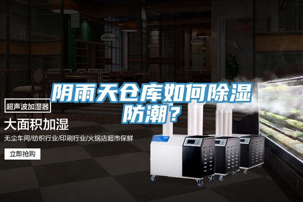 陰雨天倉庫如何除濕防潮？