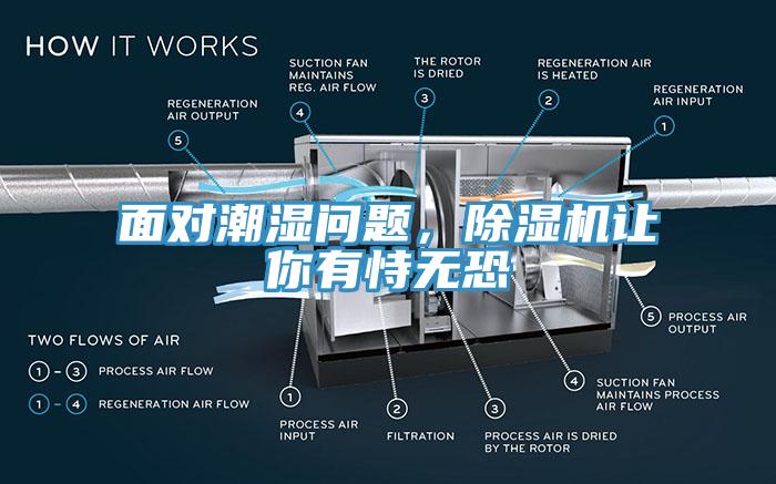面對潮濕問題，除濕機讓你有恃無恐