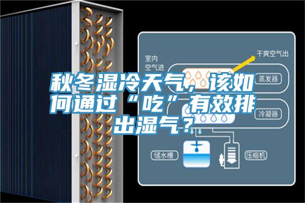 秋冬濕冷天氣，該如何通過“吃”有效排出濕氣？