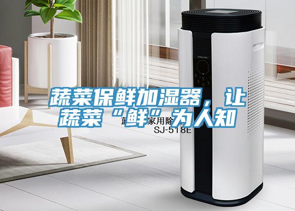蔬菜保鮮加濕器，讓蔬菜“鮮”為人知