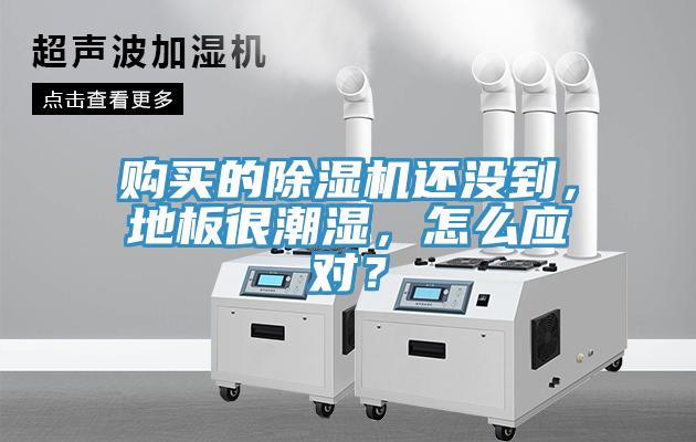 購買的除濕機還沒到，地板很潮濕，怎么應(yīng)對？