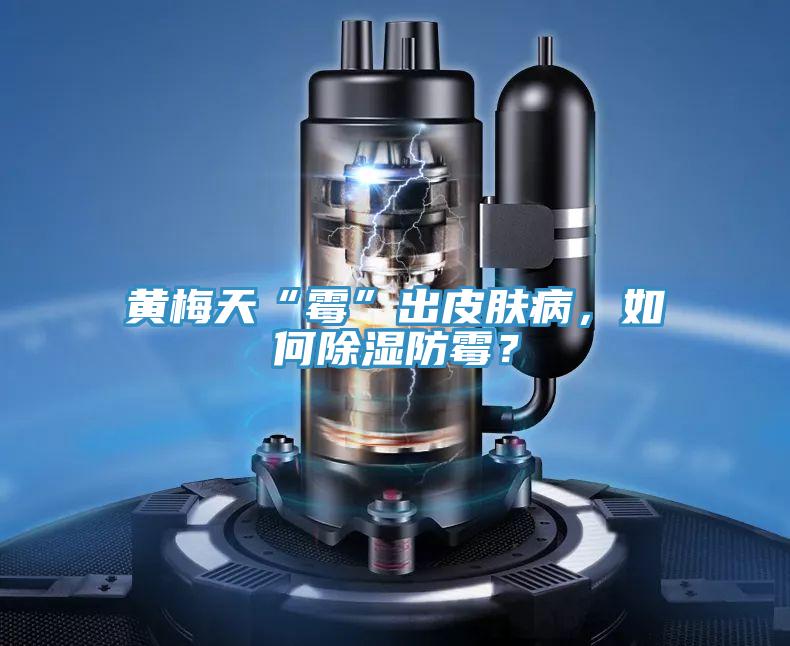 黃梅天“霉”出皮膚病，如何除濕防霉？