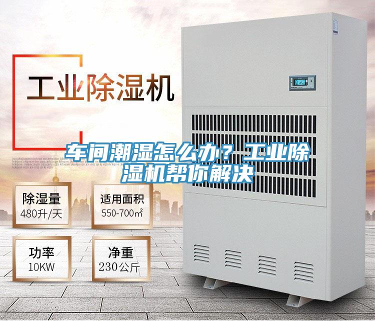 車間潮濕怎么辦？工業(yè)除濕機幫你解決