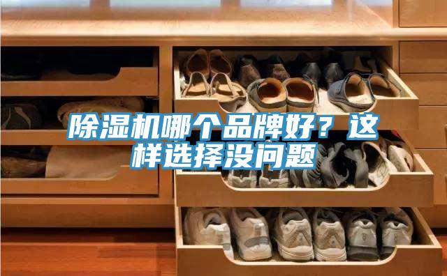 除濕機哪個品牌好？這樣選擇沒問題