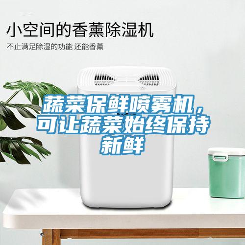 蔬菜保鮮噴霧機，可讓蔬菜始終保持新鮮