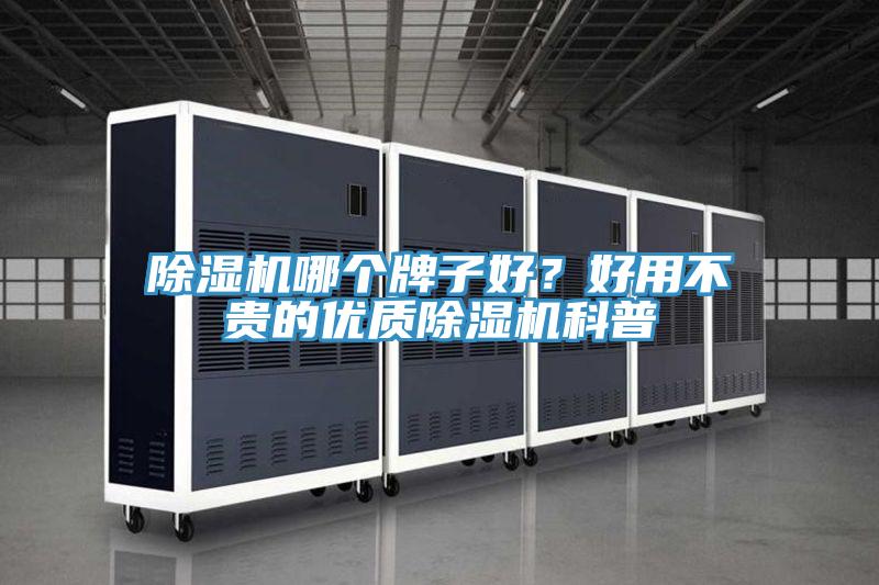 除濕機哪個牌子好？好用不貴的優質除濕機科普