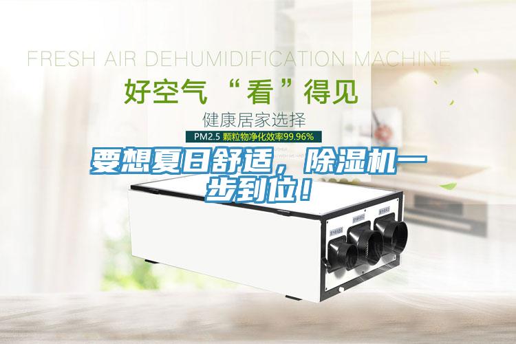 要想夏日舒適，除濕機一步到位！