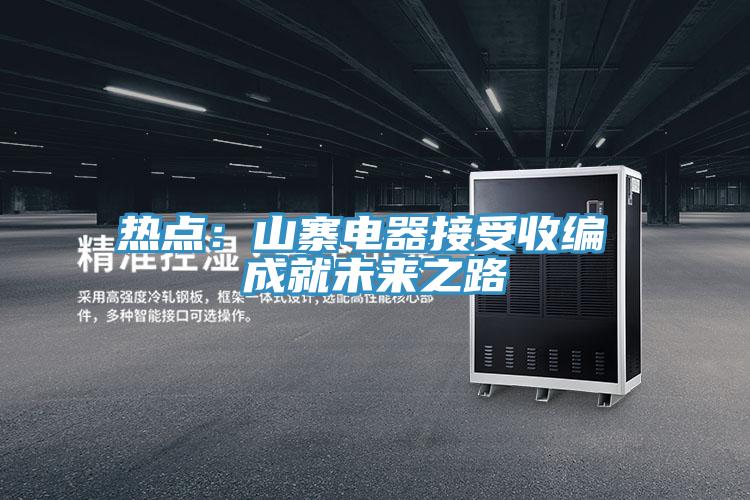 熱點:山寨電器接受收編 成就未來之路