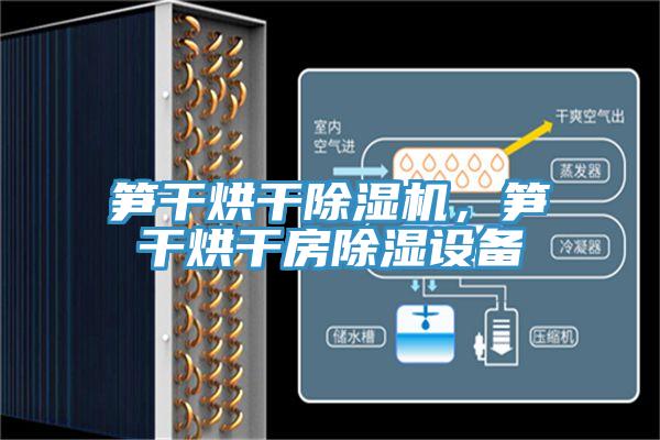 筍干烘干除濕機，筍干烘干房除濕設備