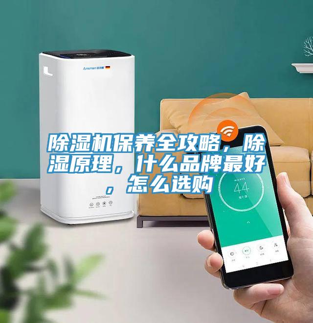 除濕機(jī)保養(yǎng)全攻略，除濕原理，什么品牌最好，怎么選購