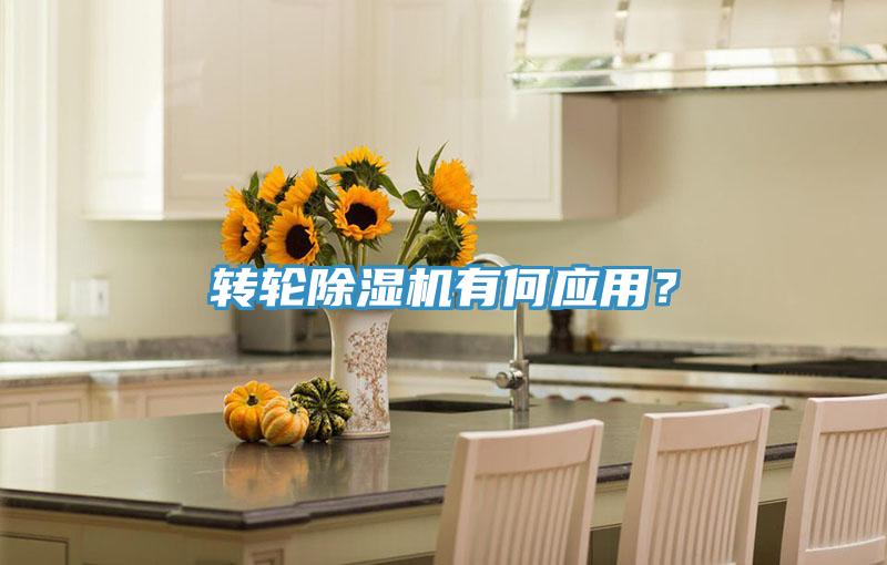 轉輪除濕機有何應用？