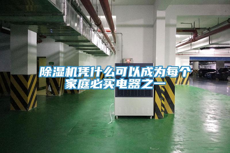 除濕機(jī)憑什么可以成為每個(gè)家庭必買(mǎi)電器之一