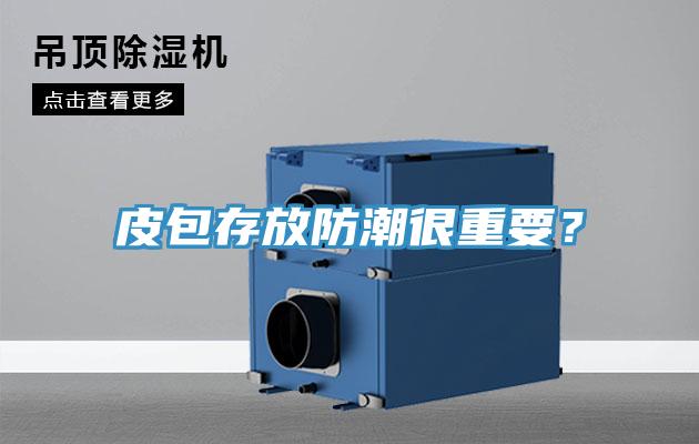 皮包存放防潮很重要？