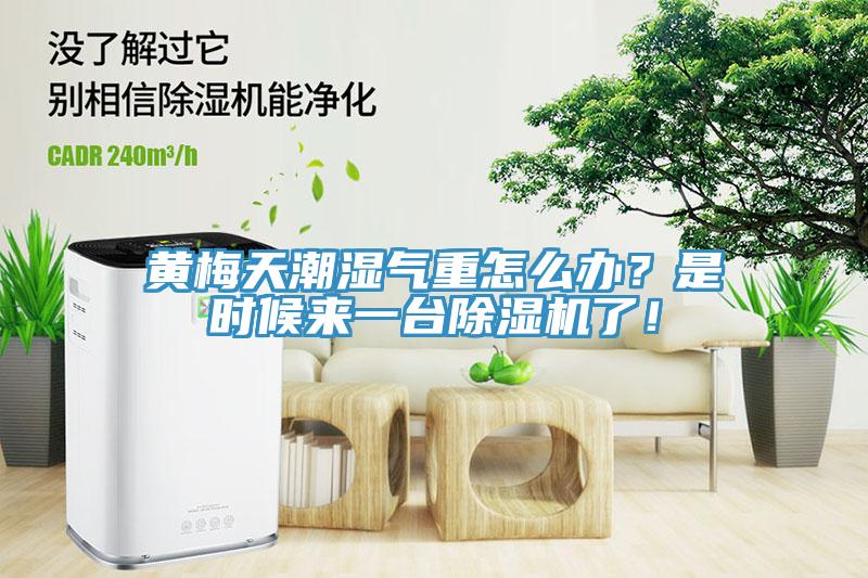 黃梅天潮濕氣重怎么辦？是時候來一臺除濕機了！