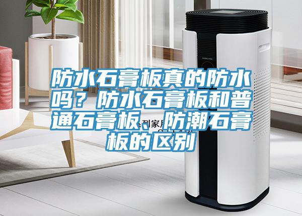 防水石膏板真的防水嗎？防水石膏板和普通石膏板、防潮石膏板的區(qū)別