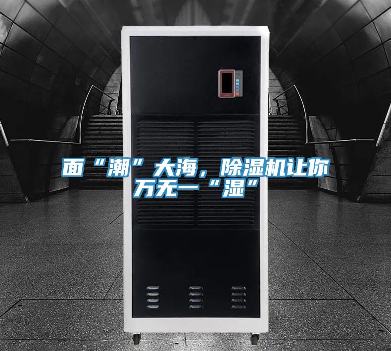 面“潮”大海，除濕機讓你萬無一“濕”