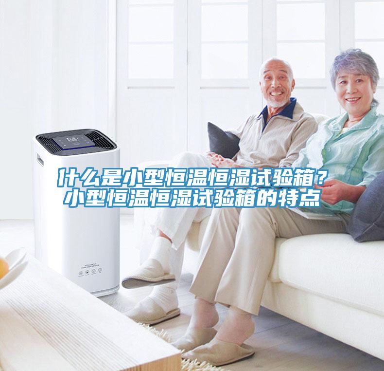 什么是小型恒溫恒濕試驗(yàn)箱？小型恒溫恒濕試驗(yàn)箱的特點(diǎn)