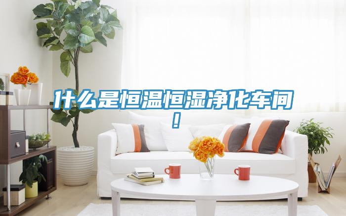 什么是恒溫恒濕凈化車(chē)間！