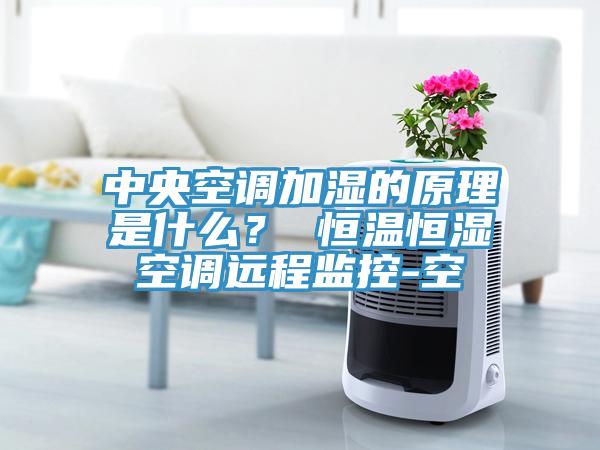 中央空調加濕的原理是什么？ 恒溫恒濕空調遠程監控-空