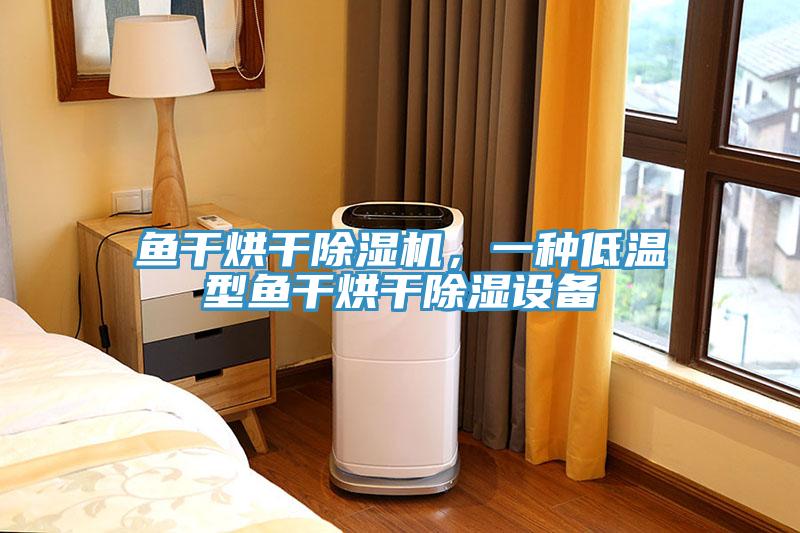 魚干烘干除濕機，一種低溫型魚干烘干除濕設備