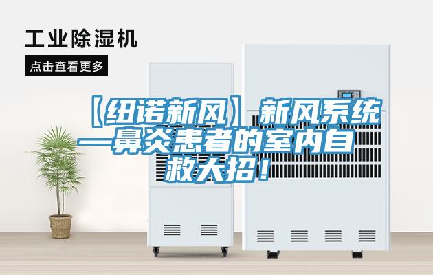 【紐諾新風】新風系統—鼻炎患者的室內自救大招！