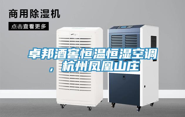 卓邦酒窖恒溫恒濕空調，杭州鳳凰山莊