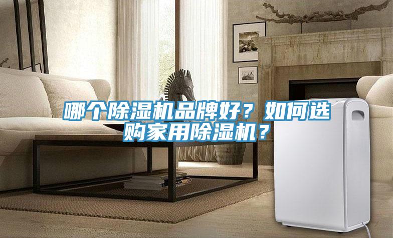 哪個除濕機品牌好？如何選購家用除濕機？