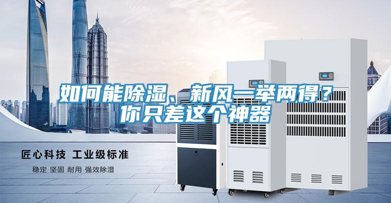 如何能除濕、新風(fēng)一舉兩得？你只差這個(gè)神器