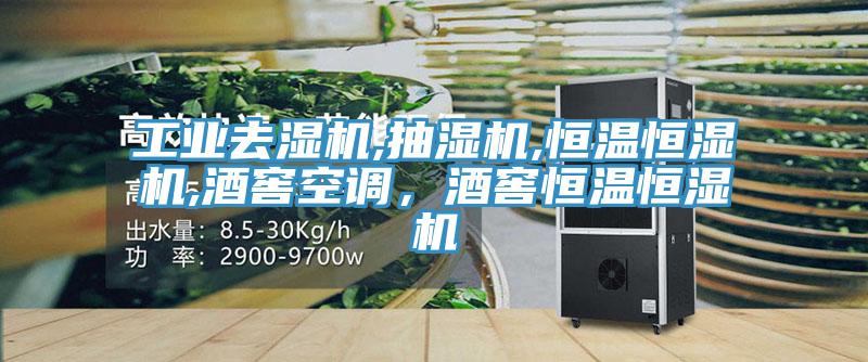 工業(yè)去濕機(jī),抽濕機(jī),恒溫恒濕機(jī),酒窖空調(diào)，酒窖恒溫恒濕機(jī)
