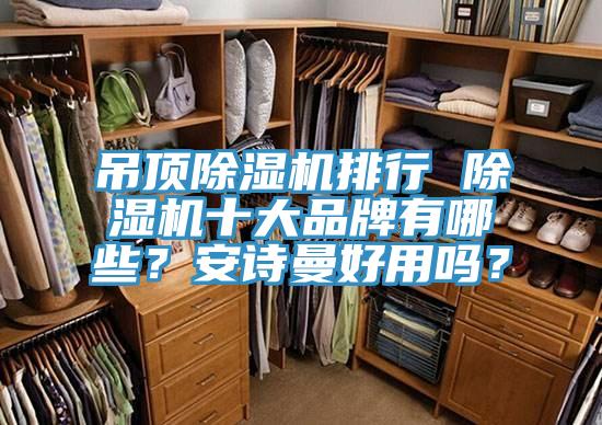 吊頂除濕機排行 除濕機十大品牌有哪些？安詩曼好用嗎？