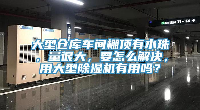 大型倉(cāng)庫(kù)車間棚頂有水珠，量很大，要怎么解決，用大型除濕機(jī)有用嗎？