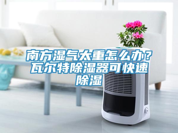 南方濕氣太重怎么辦？瓦爾特除濕器可快速除濕