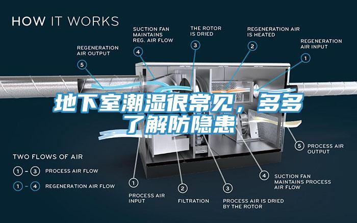 地下室潮濕很常見，多多了解防隱患