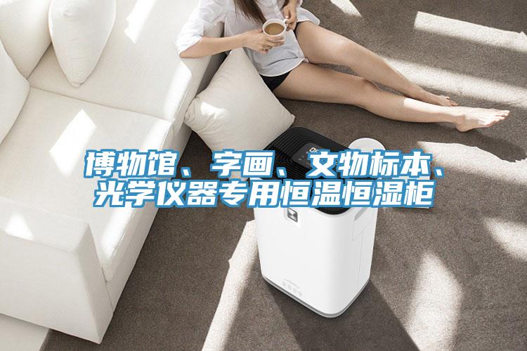 博物館、字畫、文物標本、光學儀器專用恒溫恒濕柜