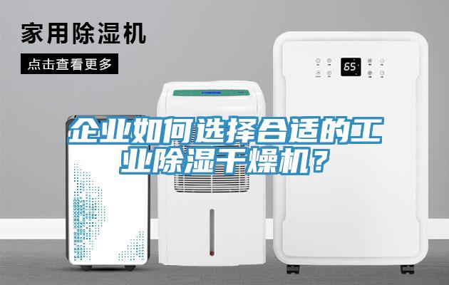 企業如何選擇合適的工業除濕干燥機？