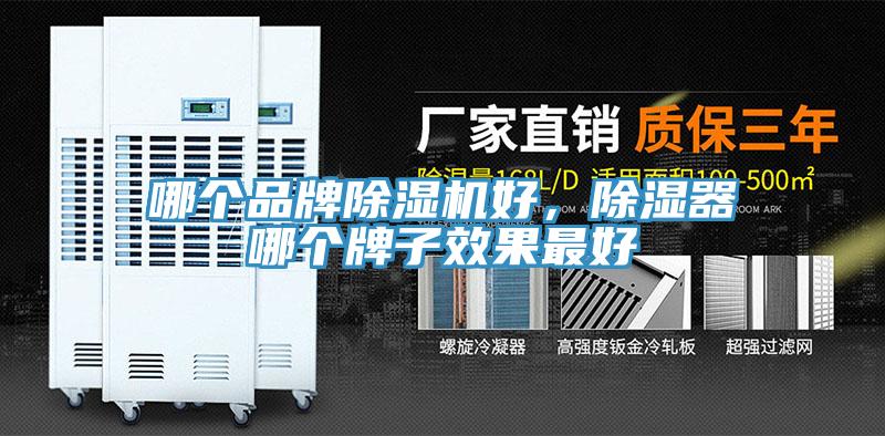 哪個品牌除濕機好，除濕器哪個牌子效果最好