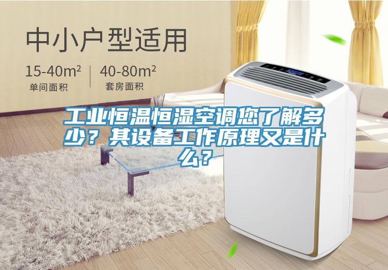 工業(yè)恒溫恒濕空調(diào)您了解多少？其設備工作原理又是什么？