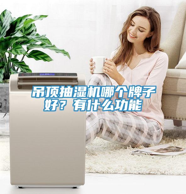 吊頂抽濕機哪個牌子好？有什么功能