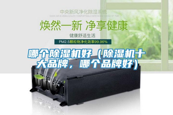 哪個除濕機好（除濕機十大品牌，哪個品牌好）