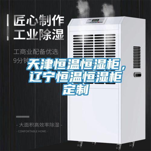 天津恒溫恒濕柜，遼寧恒溫恒濕柜定制