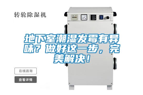 地下室潮濕發霉有異味？做好這一步，完美解決！