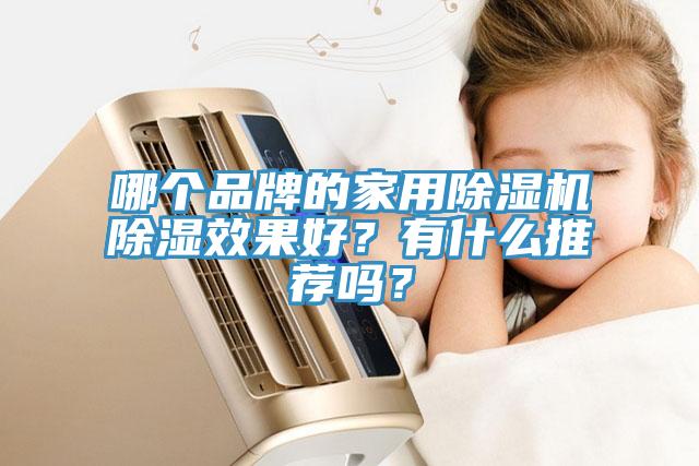 哪個品牌的家用除濕機除濕效果好？有什么推薦嗎？