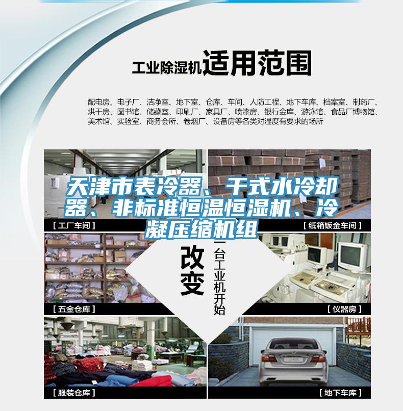 天津市表冷器、干式水冷卻器、非標(biāo)準(zhǔn)恒溫恒濕機(jī)、冷凝壓縮機(jī)組